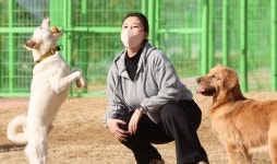 [방방곡곡] 반려견 전용 놀이터, 대구 달서구 2월 개장