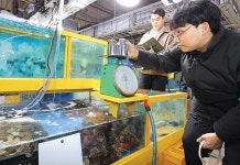 ‘바가지 논란’ 소래포구 어시장, 열흘 간 활어회 3000kg 무료 제공