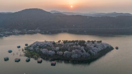 [더 한장] 왕벚꽃 가득한 섬