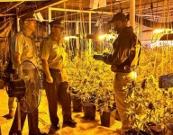 칠레서 첨단시설 갖춘 대형 대마농장 적발…운영자는 중국인