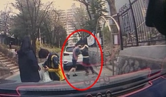 ‘대형견 입마개 해달라’ 했다가… “전치 3주 폭행당해”