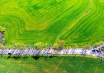 [더 한장] 초록 물감을 풀어놓은 듯... 신록의 계절이 왔다