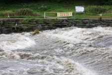 익산에 255㎜ 퍼부었다...밤사이 충청·전북 100㎜ 넘는 물폭탄