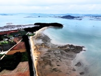 [김준의 맛과 섬] [199] 무안 홀통 해파리물회