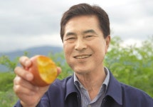 코를 찌르는 달콤한 향… 천연 피로회복제 ‘천도복숭아’