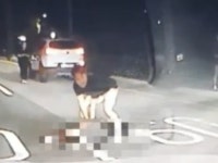 차 뒷문 열리며 사람이 ‘쿵’… 일주일 만에 두 생명 구한 해경