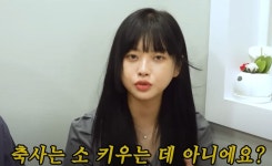 결혼식 축사 얘기 중에...“소 키우는 곳 아닌가” 유튜버 발언에 와글와글