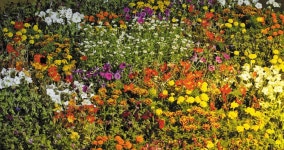 탐스러운 이 꽃밭… 모두 ‘가짜’입니다