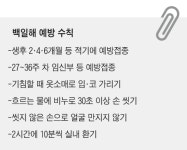 호흡기 질환 백일해 국내 사망자 첫 발생