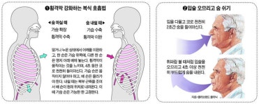 호흡 근육이 노화 늦춘다... 코로 숨 마시고 4초간 ‘후~’