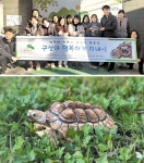 [길] ‘거북이 동네’ 구산동의 아기 거북이 구출 대작전