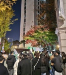 수십 명 우르르… 중국인 관광객 아니라 ‘임장 크루’였다