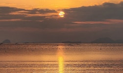 [특파원 리포트] 로제·정식당에서 희망을 본다