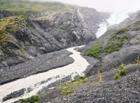 [C컷] 파괴된 자연을 사진으로 기록한 약대 교수