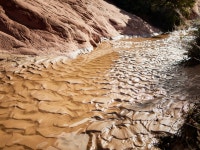 [C컷] 파괴된 자연을 사진으로 기록한 약대 교수