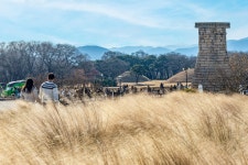 별을 찾는 첨성대처럼, 천년의 왕릉처럼… 새해를 살아낼 결심