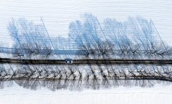 [더 한장] 호남은 지금 설국