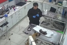 아픈 새끼 입에 물고 동물병원으로… 어미 개의 간절함 통했다