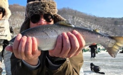 산골마을의 기적... 화천 산천어 축제에 186만명 찾았다