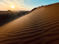 [더 한장] 작은 ‘사하라’, 사하구 다대포 사구