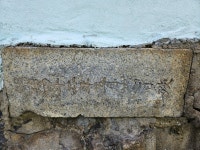 [태평로] 무덤 위에서도 살아냈다