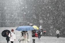 이례적 3월의 雪國... 밤까지 전국에 많은 눈