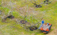[더 한장] 당신의 봄은 어디쯤 왔나요?