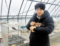 늙고 병들고 버려진 동물을 보듬은 아주 특별한 요양원