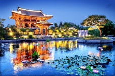 [더 한장] 도심 속 쉼터, 국립세종수목원… 문화와 자연이 만나다