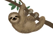 [문태준의 가슴이 따뜻해지는 詩] [74] 나무늘보