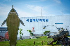 동해선 ‘시크릿 해변’이 성큼! 떠오르는 해수욕장은 어디?