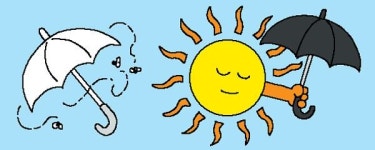 리빙더헤븐양산 | [리빙포인트] 양산은 흰색보다 검은색