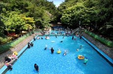 [더 한장] 푸른 숲 속 수영장에서 즐기는 한여름 피서