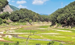 강릉 ‘나홀로 가뭄’ 한달… 공중화장실·수영장 폐쇄 잇따라
