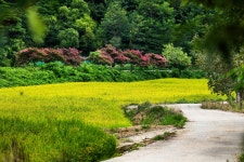 송지호 너머 왕곡마을, 옛 민통선 지나 건봉사… 바다에서 눈 돌리니 고성의 속살과 만났다