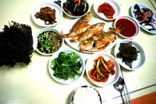 [김준의 맛과 섬] [257] 신안 가거도 불볼락