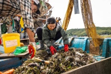 용수철처럼 튀어 오르는 뱀장어, 또 “엄마야”를 외쳤다