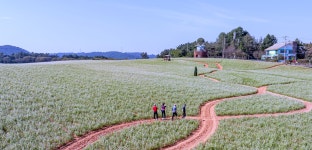 [더 한장] 여름의 끝, 가을의 시작