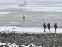 충남 태안 갯벌에서 해루질 중 실종 70대 여성 숨진 채 발견