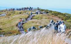 가을이 활짝… 光州 무등산 정상 2년 만에 개방