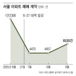 강남 막히자 15억 이하로 몰렸다… 서울 아파트 거래 6000건 돌파