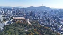 종묘 앞 142m 빌딩 건축 가능...대법 “규제 완화 조례 개정 적법”