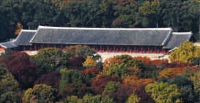 종묘 앞 ’142m 빌딩 탄력받는다