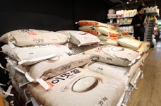 “日 쌀값 폭등 남일 아니네”…10월 쌀 도매가 28% 급등