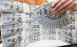 달러 정기예금 넣으면 연 3%대 금리…개인도 기업도 원화로 환전 안 해