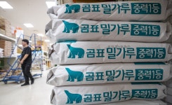 검찰, ‘밀가루 가격 담합’ 대한제분·CJ제일제당 등 압수수색