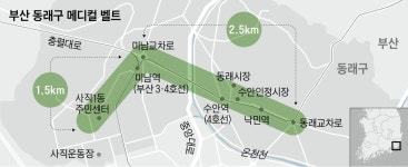 반경 2km 안에 의원 225곳… 당뇨·고혈압 잡은 부산 동래