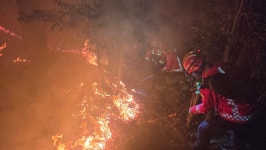 부산 기장군 산불 13시간 만에 주불 진화...인명 피해 없어