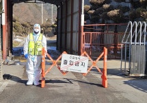 경남서 아프리카돼지열병 발생...3900마리 살처분