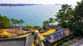 연둣빛 넘실거리는 무창포 바다에서 봄을 건져 올렸다